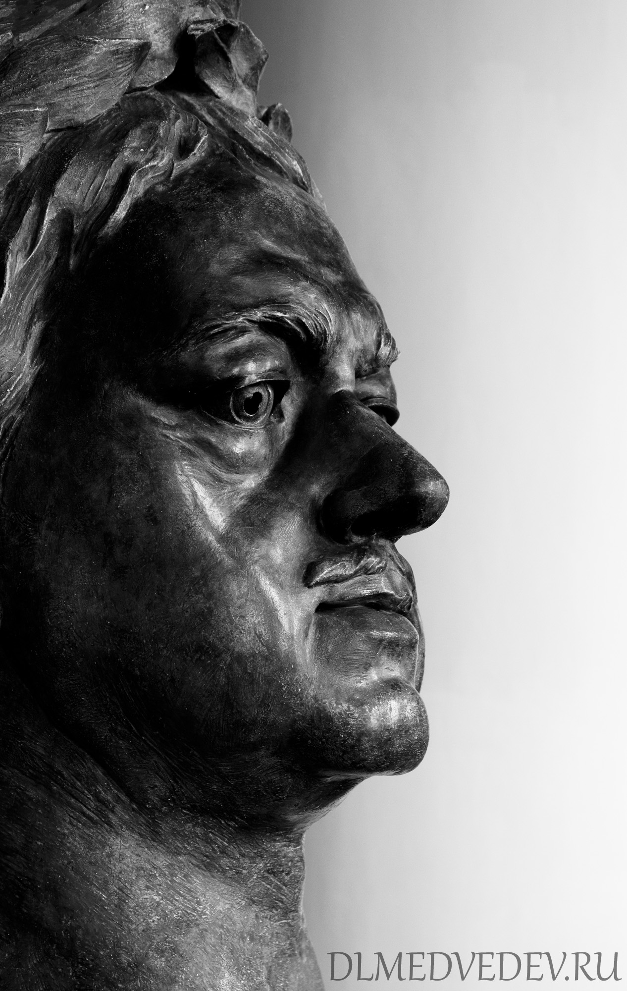Голова Петра I из скульптуры Медный всадник работы Мари-Анны Колло
